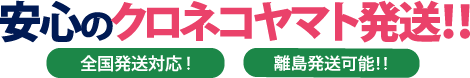 安心の黒猫ヤマト発想！！　全国発想対応！　離島発送可能！！